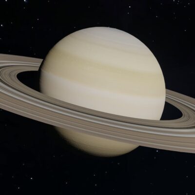 pexels photo 12498805