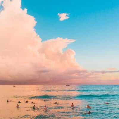 pexels photo 4319837