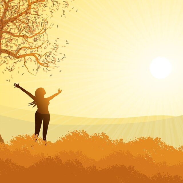 landscape, illustration, fall