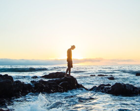 pexels photo 1115105