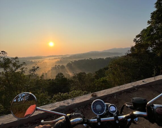 pexels photo 16544235