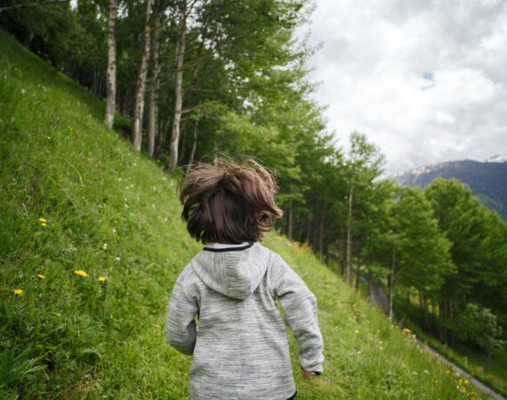 pexels photo 2495567