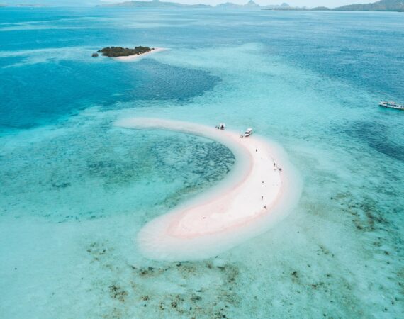 pexels photo 2499777