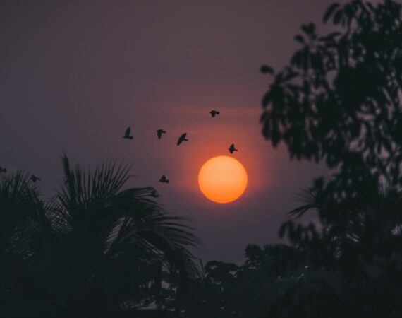 pexels photo 3197556
