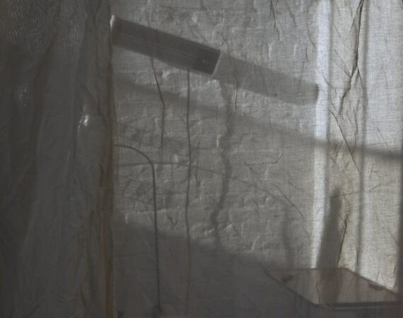 pexels photo 6044705