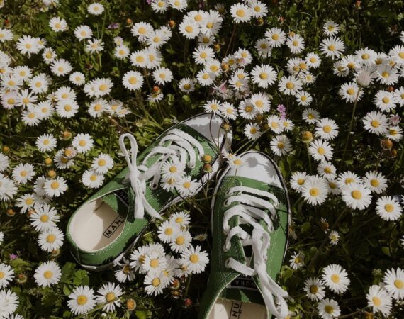 pexels photo 7651065