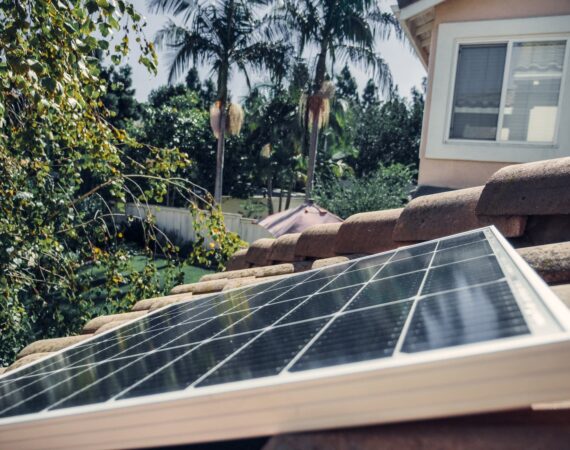 pexels photo 9875442