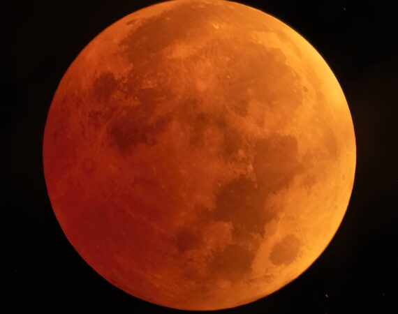 pexels photo 15070167