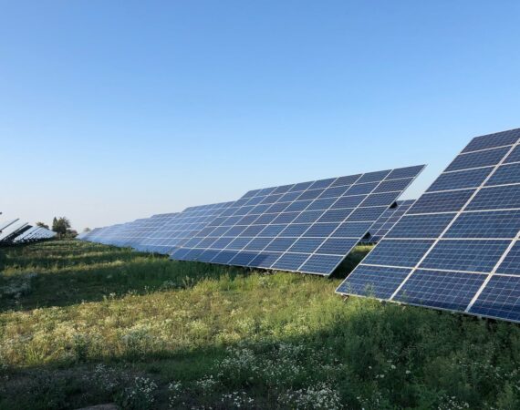 pexels photo 16586163