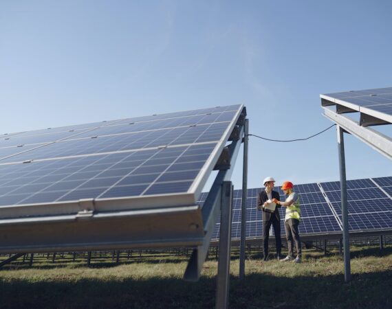 pexels photo 4254172