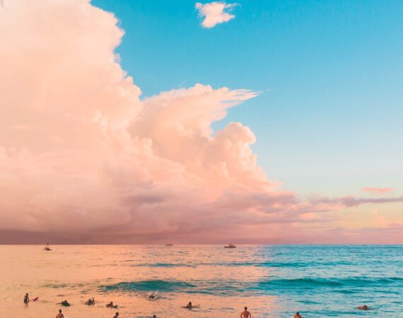 pexels photo 4319837