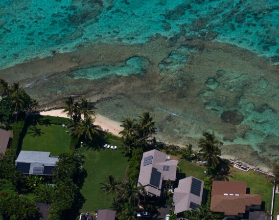 pexels photo 4751008