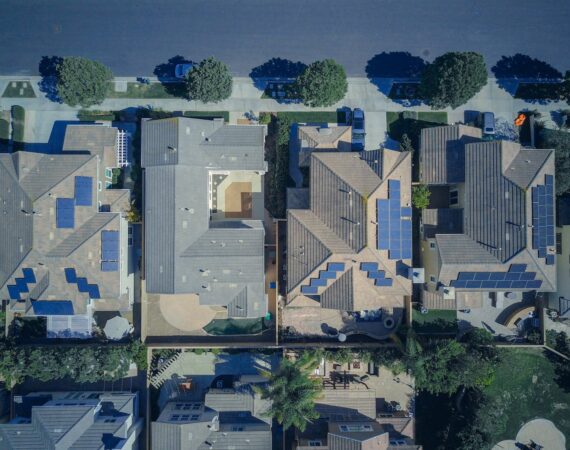 pexels photo 9875676