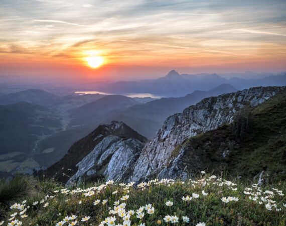 pexels photo 1266810