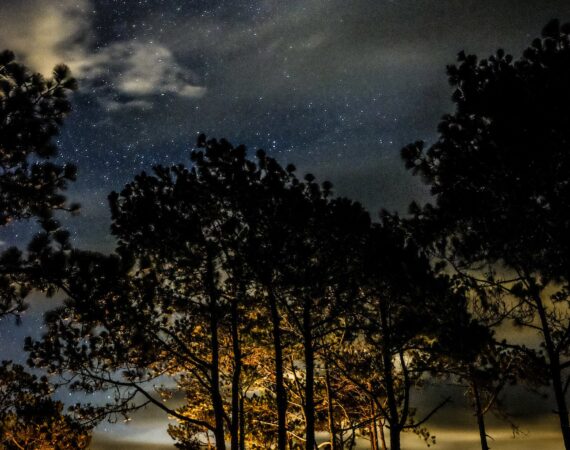 pexels photo 1328876