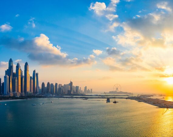 pexels photo 1619569