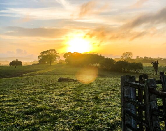 pexels photo 1928491