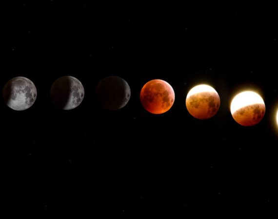 pexels photo 1983032