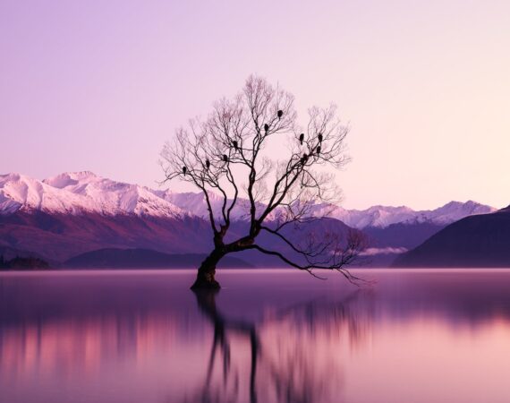 pexels photo 2138922