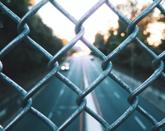 pexels photo 339814