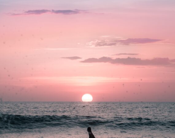 pexels photo 5326919