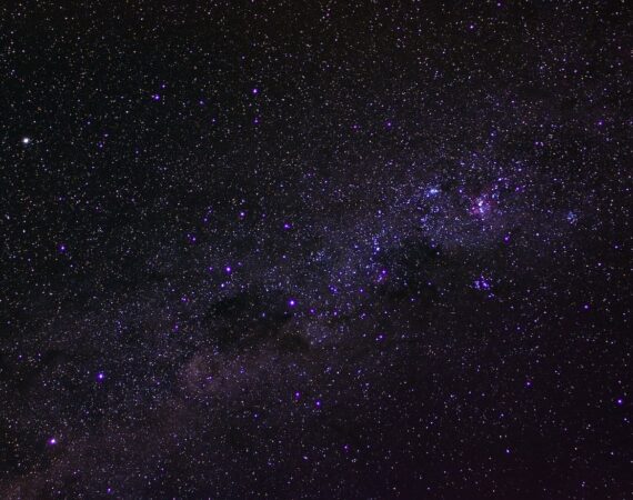 pexels photo 7736161