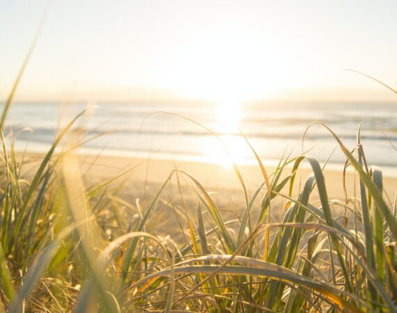 pexels photo 1089168