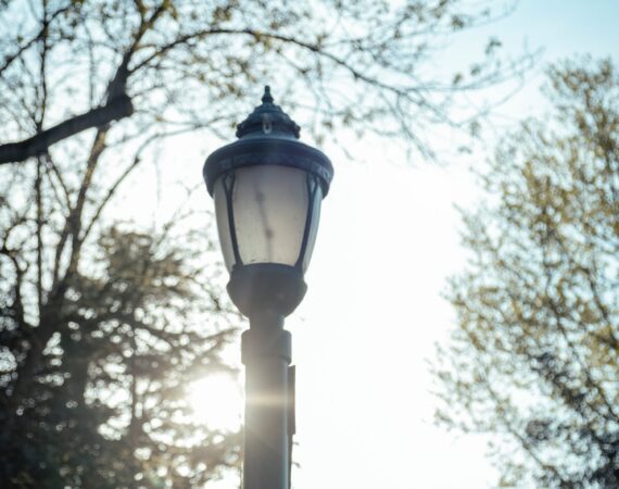 pexels photo 16574839