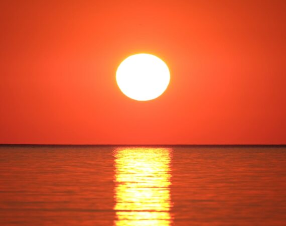 pexels photo 2705307