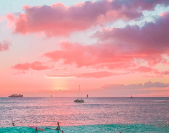 pexels photo 4321074