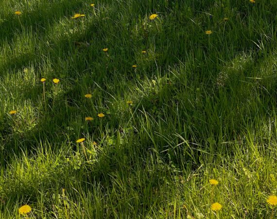 pexels photo 6858608