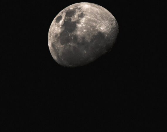 pexels photo 9441407