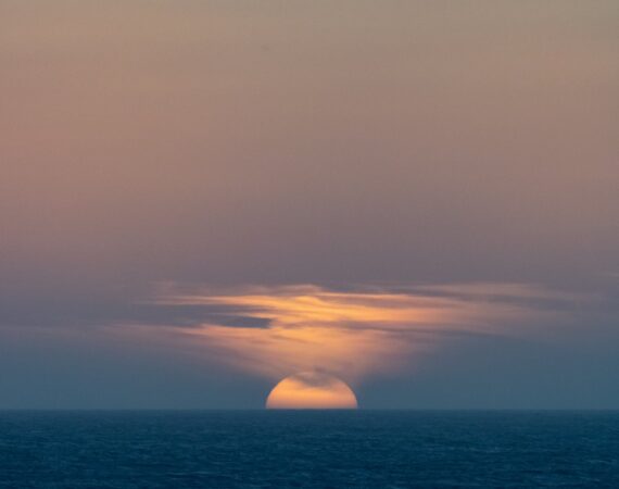 pexels photo 17309137