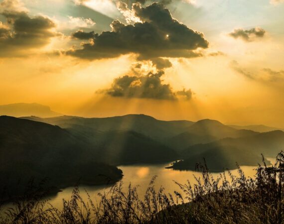 pexels photo 2378278