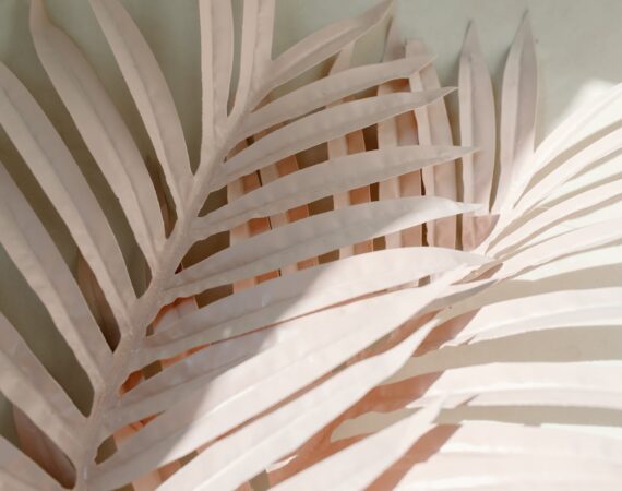 pexels photo 7663281