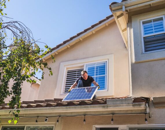 pexels photo 9875415