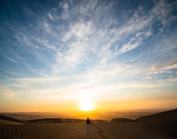 pexels photo 1658572