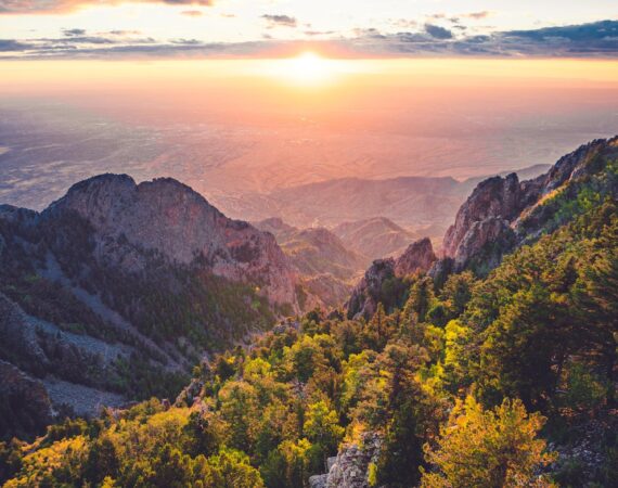 pexels photo 2440078