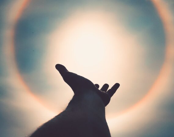 pexels photo 3025562