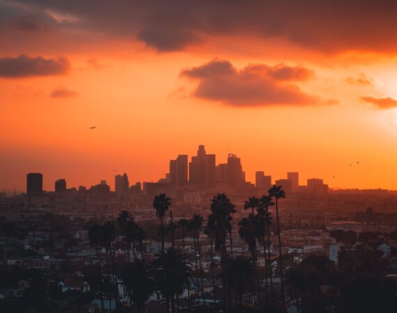 pexels photo 3877434