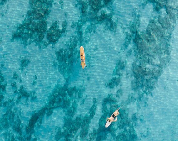 pexels photo 4321501