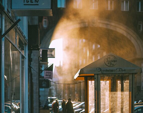 pexels photo 4906403