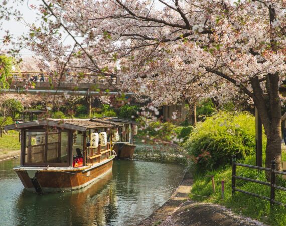 pexels photo 5473010