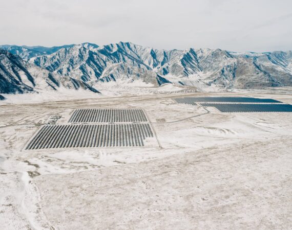 pexels photo 7441554