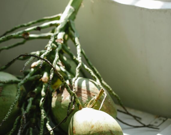 pexels photo 5945716