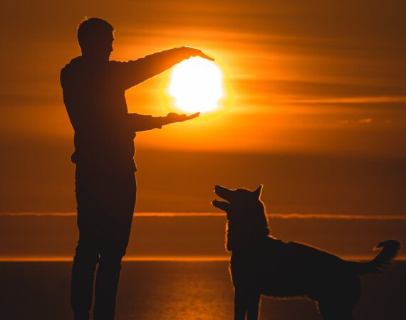 pexels photo 9329558