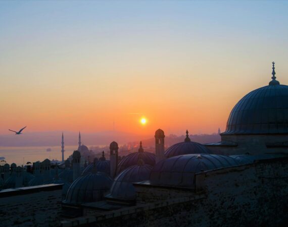 pexels photo 2236674