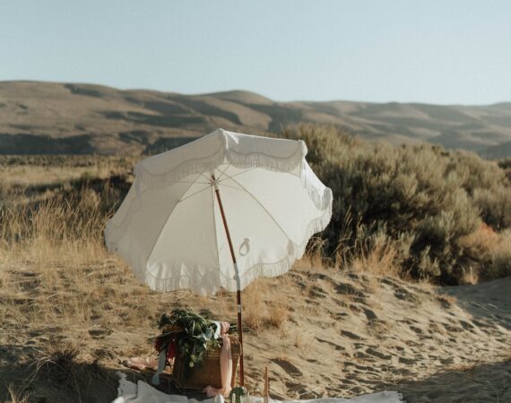 pexels photo 6401667