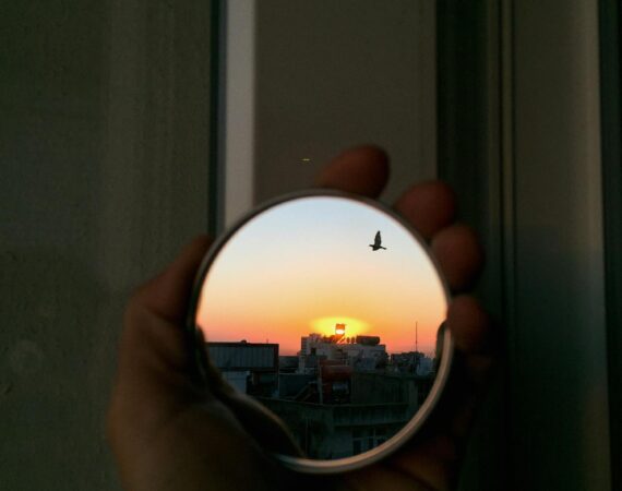 pexels photo 7574311