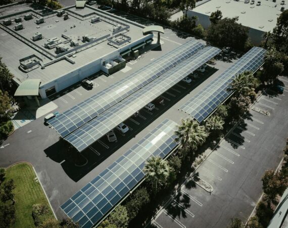 pexels photo 9799731